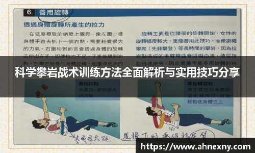 熊猫体育
